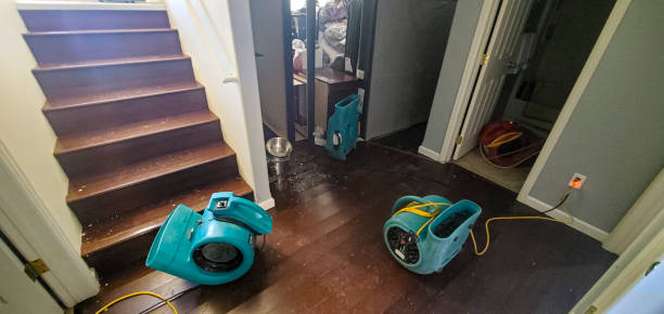 Best Water damage restoration near me  in River Ridge, LA