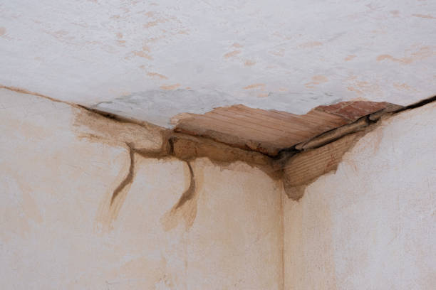 Best Local water damage restoration  in River Ridge, LA