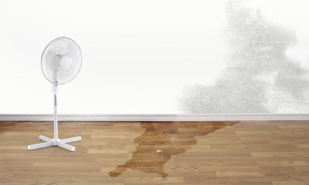 Best Water damage restoration near me  in River Ridge, LA